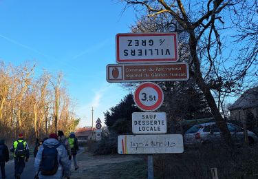 Trail Walking Villiers-sous-Grez - T-Villers-JLM - Photo