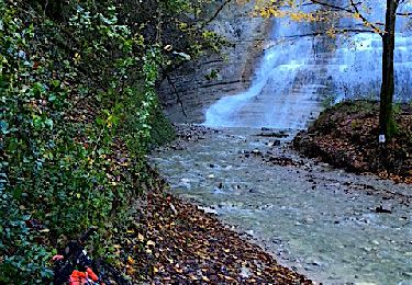 Trail Mountain bike Porte-de-Savoie - Les coteaux d'Apremont - Photo