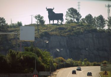 Trail On foot Redondela - ¿Nombre de RUTA? - Photo