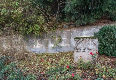 Percorso A piedi Spalt - 28 Zum Golddorf Großweingarten - Photo