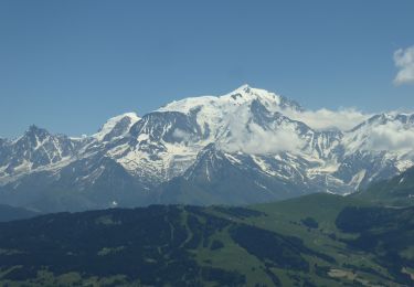 Trail Walking Megève - F74120 Megève Christomet AR MJC - Photo