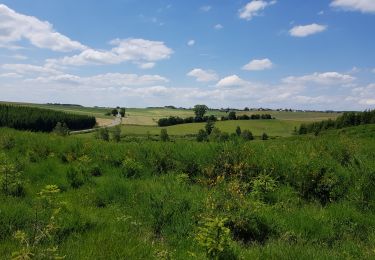 Tour Wandern Bastnach - Du Chemin de Croix à La Mine - Photo