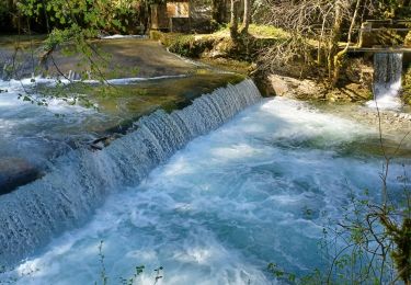 Trail Walking Oriol-en-Royans - tamee - Photo