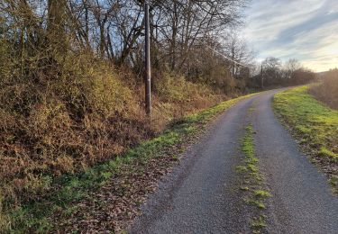 Randonnée Marche Vouthon-Haut - Les Vouthon  - Photo