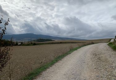 Tocht Stappen Pamplona/Iruña - 2023 10 16 CAMINO FRANCES - 24ème étape 1ère partie : Pamplona - Cizur Menor - Zariquiegui - Uterga - Muruzabal - Obanos -Puente La Reina  - Photo