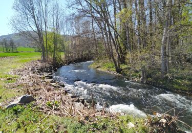 Tour Wandern Chidrac - Chidrac à Saint-Floret - Photo