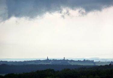 Randonnée A pied Sohren - Gedichte Pfad Sohren - Photo