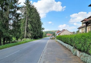 Tocht Te voet Beyren-lès-Sierck - Boucle de Gandren - Photo