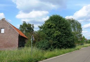 Randonnée A pied Genk - De Maten oranje - Photo