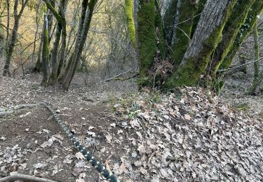 Tocht sport Cormot-Vauchignon - Cirque du bout du monde Nolay - Photo