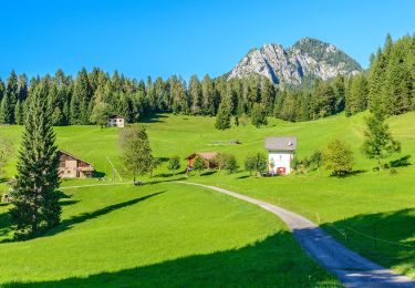 Tour Zu Fuß Mezzano - IT-E728 - Photo