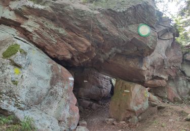 Tour Wandern Celles-sur-Plaine - tête du coquin  - Photo