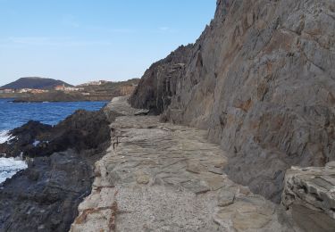 Tocht Stappen Port-Vendres - port vendres . l ouille / retour  - Photo