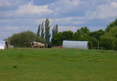 Trail On foot East Hampshire - Food and Farming Trails - Photo