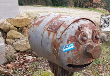 Excursión Marcha nórdica Lodève - Chemin des Tines - La Défriche - Belbezet - Montifort - Photo