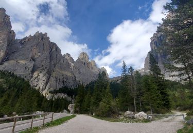 Trail Walking Canazei - Canazei cascade petit  lac 306m 7.5kms - Photo