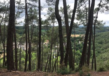 Tour Wandern Saint-Léonard-des-Bois - Alpes mancelles - Photo