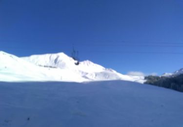 Excursión Esquí de fondo Le Grand-Bornand - GB 9 fév - Photo