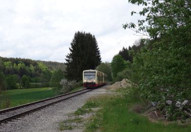 Excursión A pie Gomadingen - Zugangsweg - Bärenhöhle Erpfingen Hörschwang Bronnen - Photo