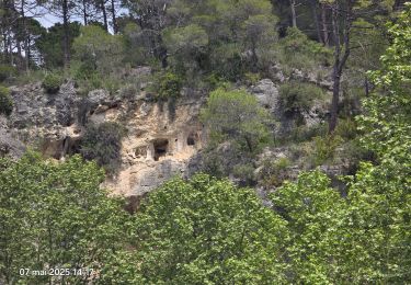 Trail Walking Hyères - salernes - Photo