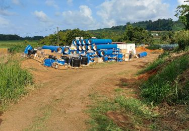 Percorso Marcia Le Lorrain - Boucle Seguinrau via Le Marigot - Photo