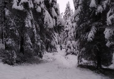 Trail Walking Jalhay - Solwaster-Statte-Hoegne - Photo