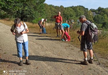 Tour Wandern Peyrat-le-Château - Autour du bois de crozat - Photo