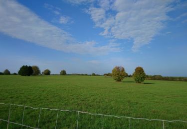 Tour Wandern Reugny - Reugny - variante PRs via Neuillé-le-Lierre - 25.7km 300m 5h45 (30mn) - 2022 10 29 - Photo