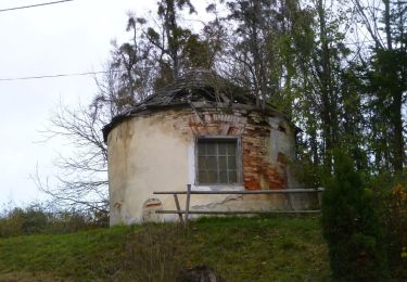 Tour Zu Fuß Allhaming - Rundwanderweg Sipbach - Photo