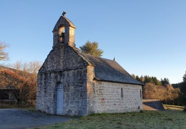 Randonnée Marche Meymac - Lestrade-La Vialle-Le Colomby - Photo