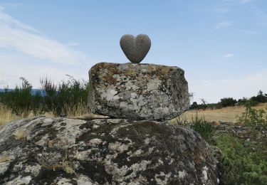 Trail Walking Olloix - gorges de la monne - Photo