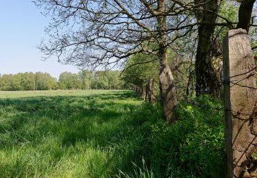 Excursión A pie Norderstedt - Wanderrunde zwischen den Mooren - Photo