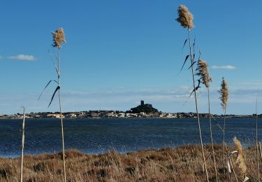 Trail Walking Gruissan - Gruissan Les goules La capoulade - Photo