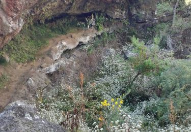 Trail Walking Saint-Paul - Piton des Orangers - Photo