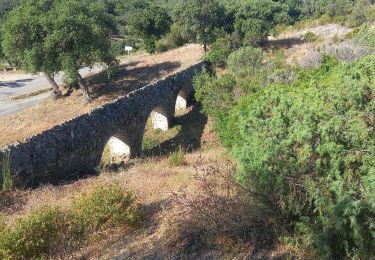 Trail Walking Roquebrune-sur-Argens - Circuit de l'eau - Photo