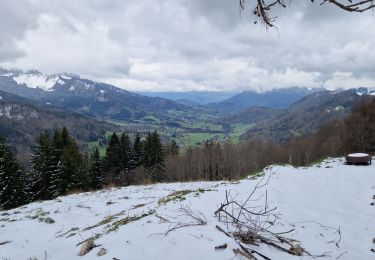 Trail Walking Bellevaux - Jambaz 1 - Photo