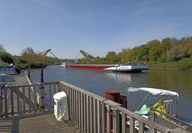 Tour Wandern Bailleul - camping de la Ferme des Saules à côté de Bailleul, arrivée Deulemont - Photo