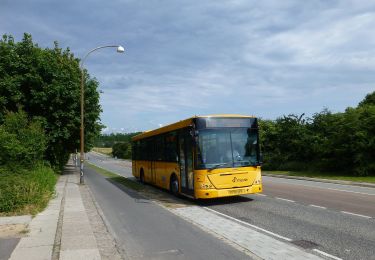 Percorso A piedi  - DTU løberute - Photo