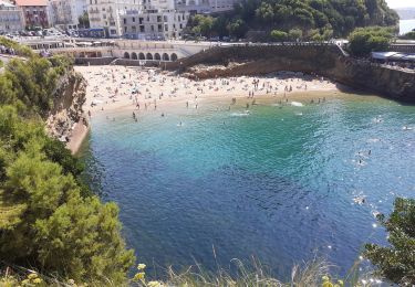 Tour Wandern Biarritz - Biarritz la côte , le rocher de la  vierge, le port  - Photo