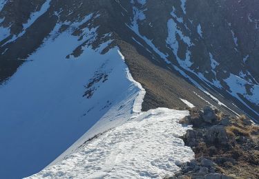 Tocht Stappen Seyne - Seyne première  bosse dos de chameau 9km 950m - Photo