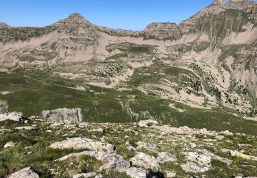 Tocht Stappen Saint-Dalmas-le-Selvage - Cime de Bolofré - Photo