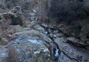 Trail Walking Saint-André-de-Lancize - le mulet grisou - Photo