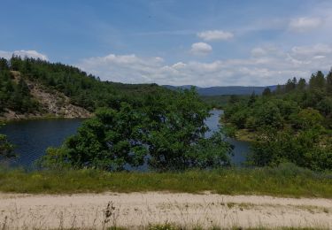 Trail Walking Seillans - lac de meaulx - Photo