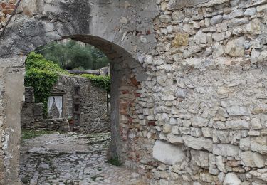 Randonnée A pied San Zeno di Montagna - Percorso Marniga - Campo - Prada di Monte Baldo - Photo