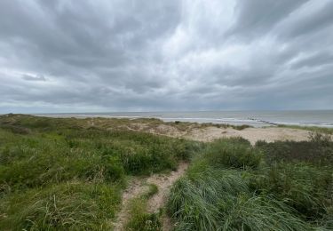 Randonnée Marche Veere - De Orange Zone - Photo