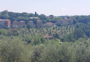 Tour Wandern Monteriggioni - CR_Francigena_DE_41_Monteriggioni_Siena_20230523 - Photo