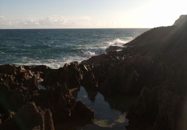 Tocht Stappen Le Moule - Porte d'Enfer - Anse Gros Morne - Photo