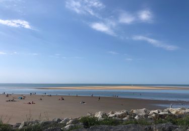 Tour Wandern Les Mathes - La palmyre - Photo