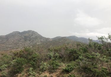 Tocht Stappen Banyuls-sur-Mer - Col Banuyls  - Photo