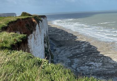 Excursión Senderismo Le Tréport - Le treport - Photo